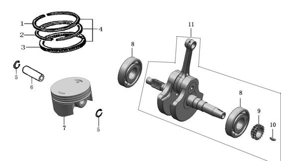 Piñon Cadena Distribución Inferior Kayo T2 / T4 2021-22