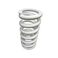 [DC00137-B1/59] Resorte Compensador Pitsterpro LX / LXR 155 -160 (50 – 60 kgs)