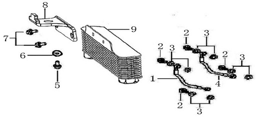[PB00131-B1/C7] Manguera Radiador Pitsterpro / Kayo 150 – 160 cc